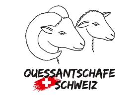 http://www.zvsnr.ch/sites/default/files/ouessantschafe_Schweiz_Logo_fürWeb.jpg